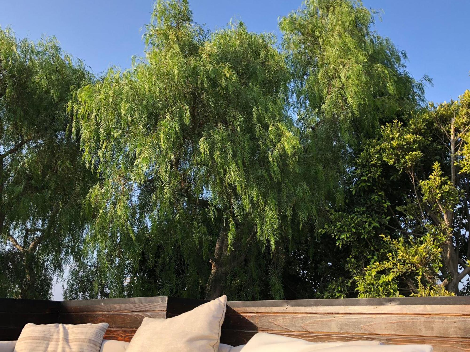 Venice Beach Studio With Large Private Patio Steps To The Beach Los Angeles Extérieur photo