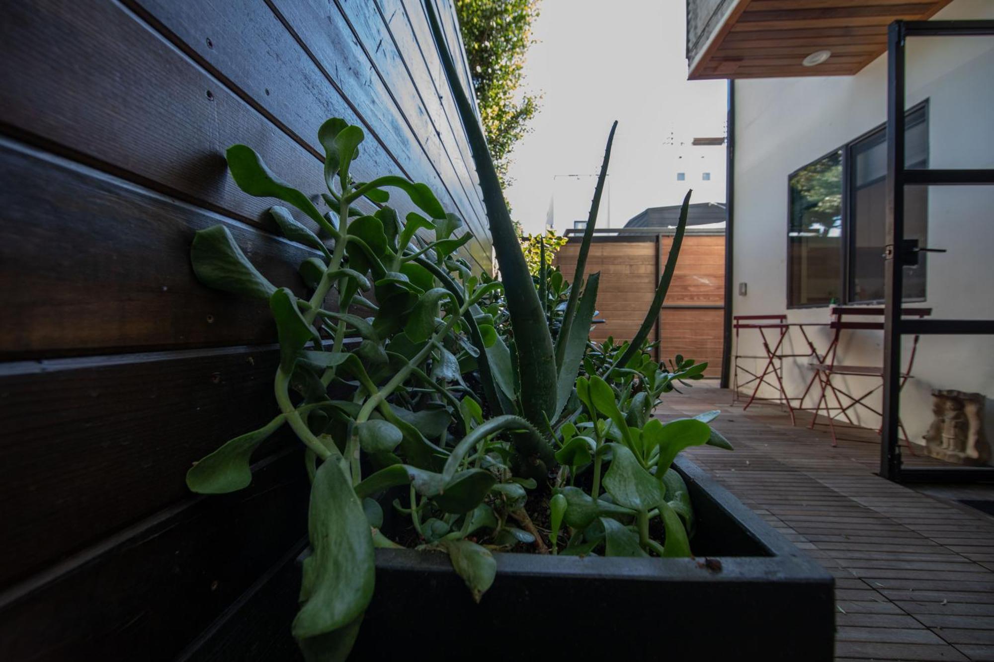 Venice Beach Studio With Large Private Patio Steps To The Beach Los Angeles Extérieur photo