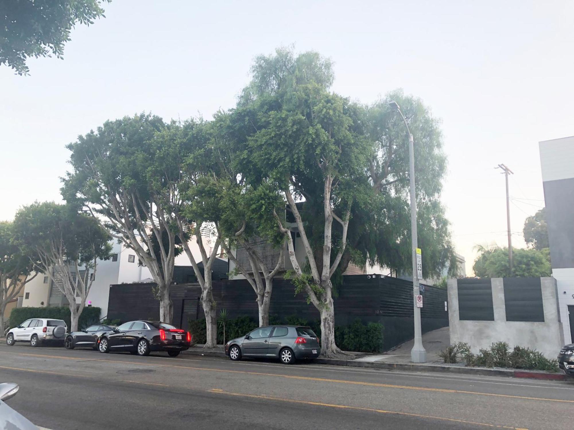 Venice Beach Studio With Large Private Patio Steps To The Beach Los Angeles Extérieur photo
